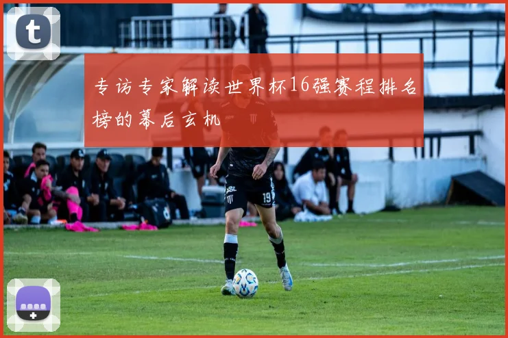 专访专家解读世界杯16强赛程排名榜的幕后玄机
