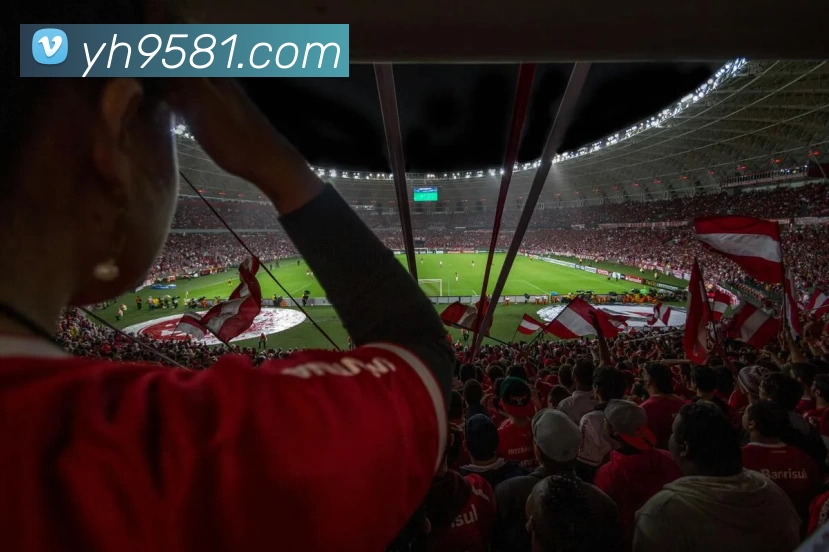 星空体育APP 封面图